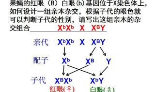 高一会考生物必考重点 高一生物知识点总结